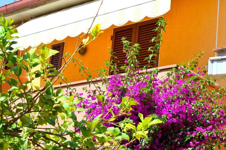 Hotel Anfora Capoliveri  Exterior photo